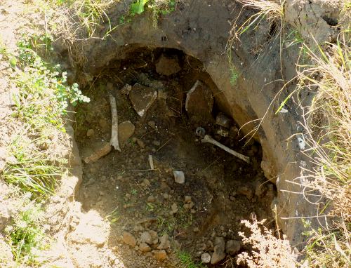 Разрытый "черными археологами" могильник в районе села Заюково, КБР. Фото Виктора Котлярова