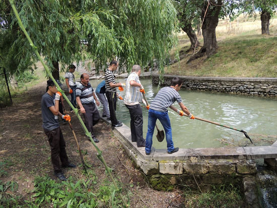 Надо очистить и бассейн... Надо очистить и бассейн...