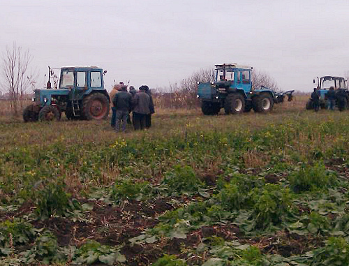 Краснодарский край, Калининский район, станица Старовеличковская, 15 декабря 2012 г. Трактора фермеров, на которых они собирались доехать до Краснодара. Фото Надежды Жуковой