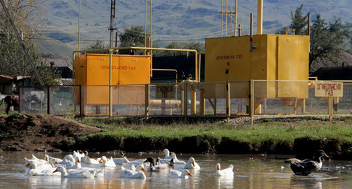 «Безопасное соседство». Фото Фоменко Натальи Владимировны, http://www.kawkazrg.ru/press-slujba/foto-i-videogalereya/fotoarkhiv-2014/1185-fotoraboty-pobeditelej-i-uchastnikov-korporativnogo-konkursa-eko-obektiv