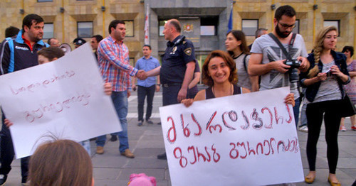 Акция в поддержку директора зоопарка. Тбилиси, 17 июня 2015 г. Фото Беслана Кмузова для "Кавказского узла"