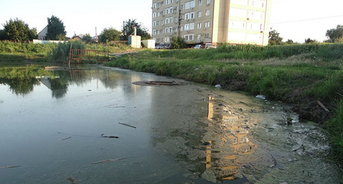Берег Карасунского озера. фото: Ребеченко Максим, http://www.ewnc.org/node/18912 Берег Карасунского озера. фото: Ребеченко Максим, http://www.ewnc.org/node/18912
