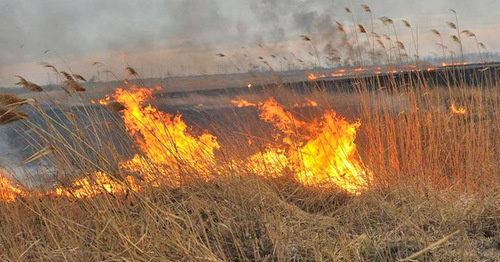 Пожар. Фото: Михаил Ступин / Югополис Пожар. Фото: Михаил Ступин / Югополис