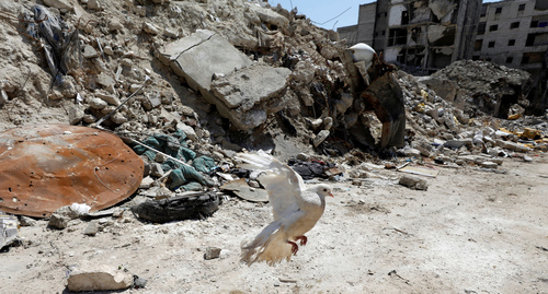 Война в Сирии. Фото: REUTERS/Omar Sanadiki Война в Сирии. Фото: REUTERS/Omar Sanadiki