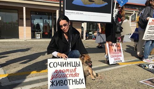 Участница акции зоозащитников в Сочи. Фото Светланы Кравченко для "Кавказского узла". Участница акции зоозащитников в Сочи. Фото Светланы Кравченко для "Кавказского узла".