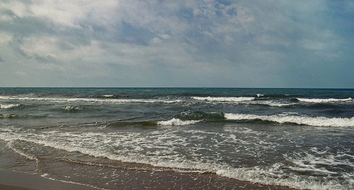 Берег Черного моря. Фото: Max071086 https://ru.wikipedia.org/ Берег Черного моря. Фото: Max071086 https://ru.wikipedia.org/