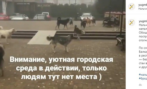 Скриншот со страницы yugmbk.media в Instagram https://www.instagram.com/p/CJBNLXinq8l/ Скриншот со страницы yugmbk.media в Instagram https://www.instagram.com/p/CJBNLXinq8l/