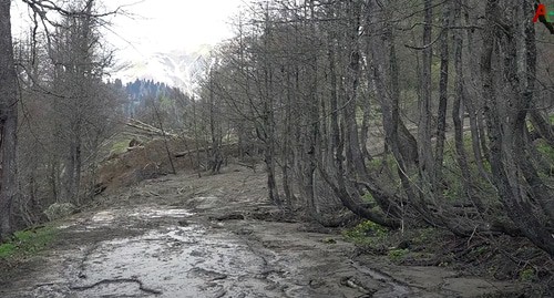 Оползень перекрыл дорогу и загрязнил озеро Рица. Кадр видео 
Аҧсуа телехәаҧшра https://www.youtube.com/watch?v=twCrYxEvH_0