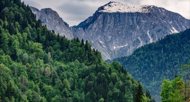 Горы Абхазии. Фото: Елена Синеок, "Юга.ру" Горы Абхазии. Фото: Елена Синеок, "Юга.ру"