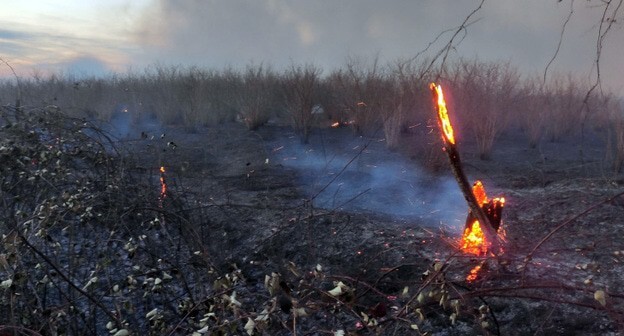 Последствия лесного пожара. Фото https://mchsra.info/novosti/item/1497-pervaya-nedelya-nastupivshego-goda-stala-krajne-napryazhennoj-dlya-sotrudnikov-mchs-abkhazii пресс-службы МЧС РА Последствия лесного пожара. Фото https://mchsra.info/novosti/item/1497-pervaya-nedelya-nastupivshego-goda-stala-krajne-napryazhennoj-dlya-sotrudnikov-mchs-abkhazii пресс-службы МЧС РА