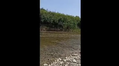 Река Сунжа. Скриншот с видео, https://t.me/fortangaorg/13301 Река Сунжа. Скриншот с видео, https://t.me/fortangaorg/13301