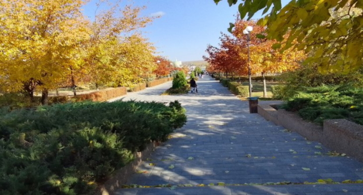Парк "Дружбы", Ростов-на-Дону, фото: Наталья Бочарова, https://bocharovanata.ru/verxnij-park-druzhby-narodov-v-rostove Парк "Дружбы", Ростов-на-Дону, фото: Наталья Бочарова, https://bocharovanata.ru/verxnij-park-druzhby-narodov-v-rostove