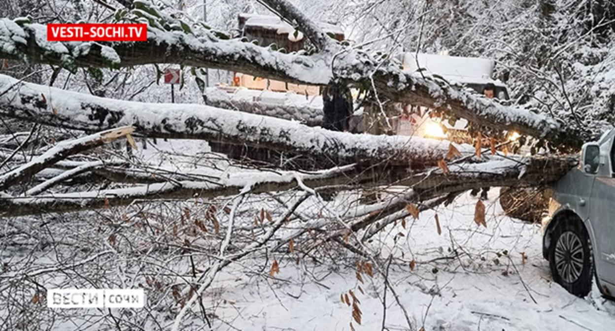 Последствия снегопада. Фото: https://vesti-sochi.tv Последствия снегопада. Фото: https://vesti-sochi.tv