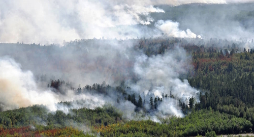 Дым над лесом, фото: пресс-служба МЧС РФ.
