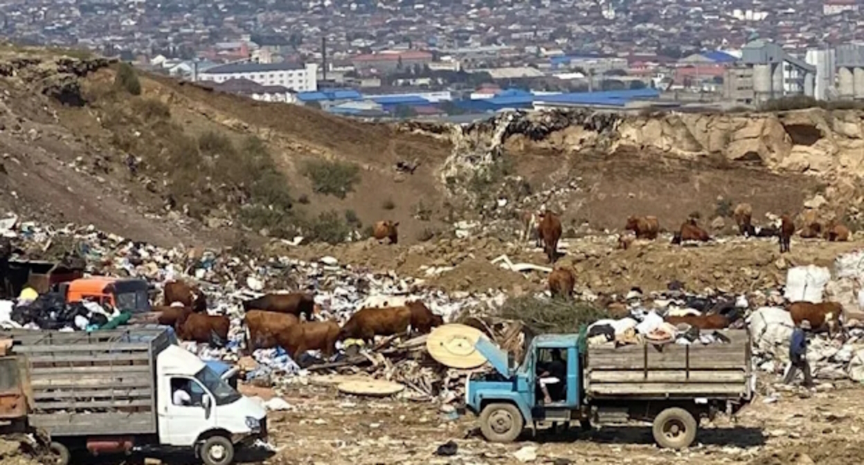 Свалка в пригороде Махачкалы, фото: https://t.me/dagestan_24/16413 Свалка в пригороде Махачкалы, фото: https://t.me/dagestan_24/16413