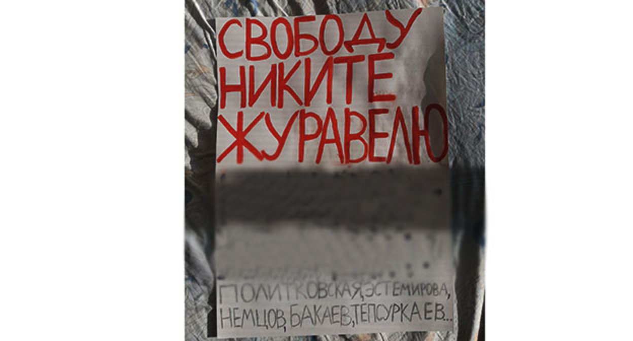 Плакат в защиту Журавеля. Фото плаката "ОВД-Инфо" предоставил пикетчик Дмитрий Кузьмин Плакат в защиту Журавеля. Фото плаката "ОВД-Инфо" предоставил пикетчик Дмитрий Кузьмин