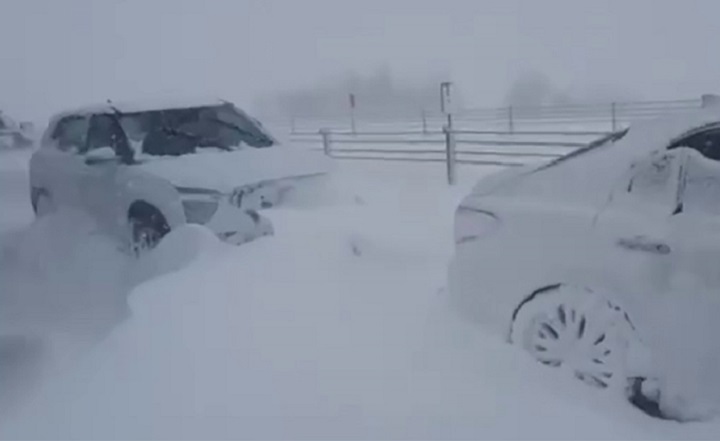 Снегопад на трассе "Дон". Фото: https://privet-rostov.ru/ Снегопад на трассе "Дон". Фото: https://privet-rostov.ru/