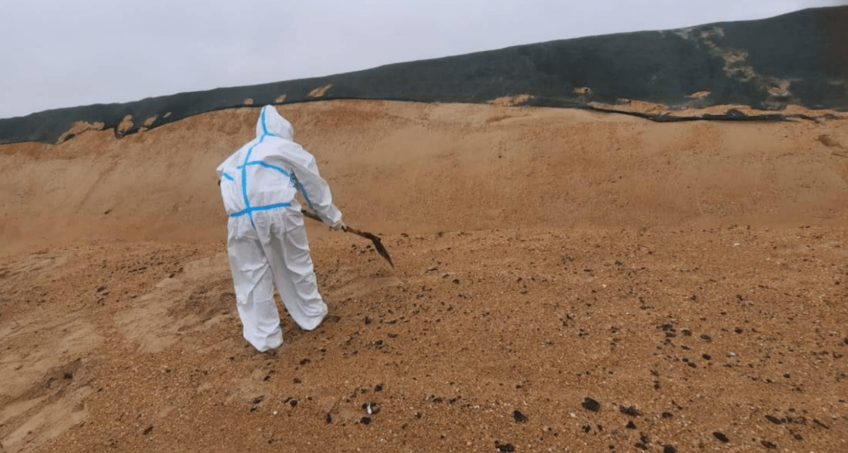 Уборка выбросов мазута в Анапе. Скриншот фото оперштаба Краснодарского края от 04.04.25, https://t.me/opershtab23/13104.