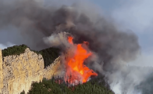 Лесной пожар близ села Инкучимахи. Стоп-кадр видео из Instagram*-паблика (деятельность компании Meta, владеющей соцсетью, запрещена в России) Inkuchimahi от 05.04.25, https://www.instagram.com/p/DIEabF0tk7-/