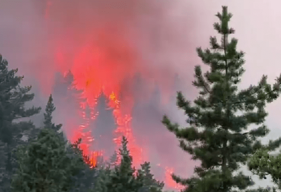 Лесной пожар близ села Инкучимахи. Стоп-кадр видео из Instagram (деятельность компани Meta, владеющей соцсетью, запрещена в России) села от 06.04.25, https://www.instagram.com/p/DIHPaneMoF8/