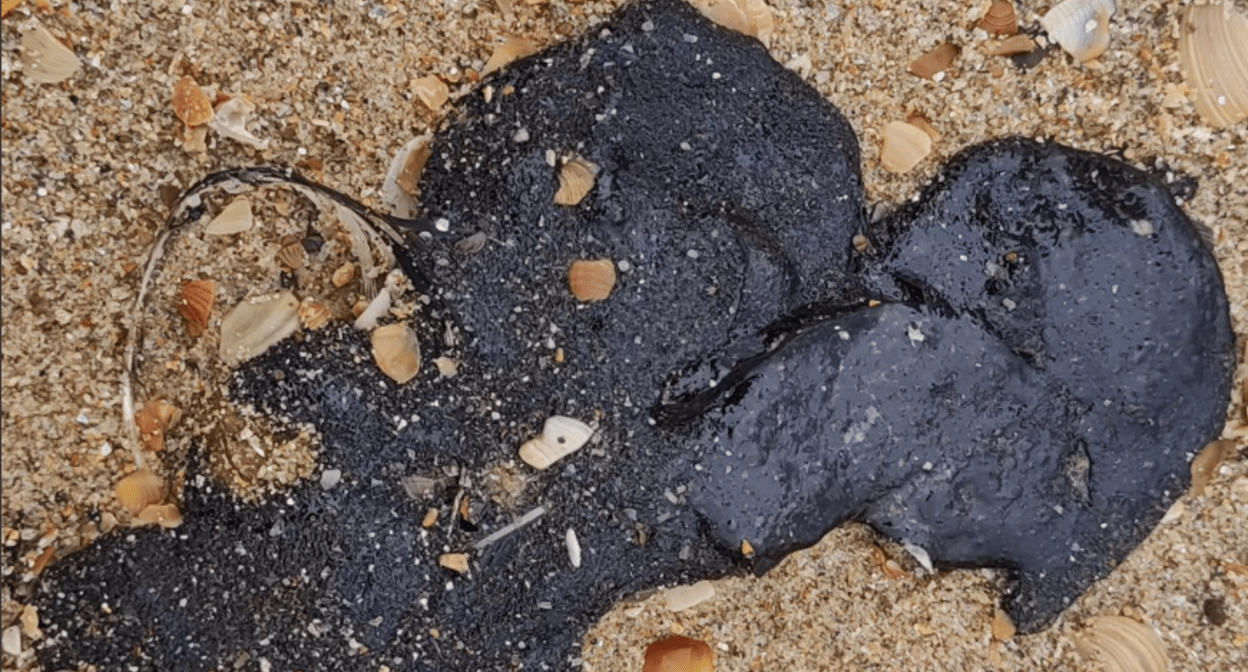 Новые пятна мазута на Бугазской косе. Скриншот фото из Telegram-канала "Мои слезы из мазута" от 12.04.25, https://t.me/mazuttears/1287