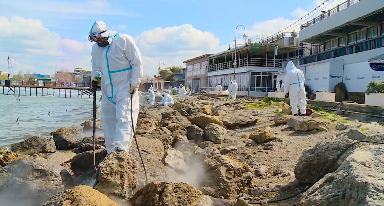 Очистка берега в Анапе. Скриншот видео @opershtab23