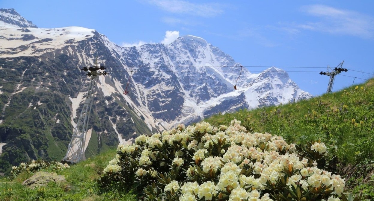 Курорт "Эльбрус". Фото: администрация курорта https://resort-elbrus.ru/news/84/novosti-13