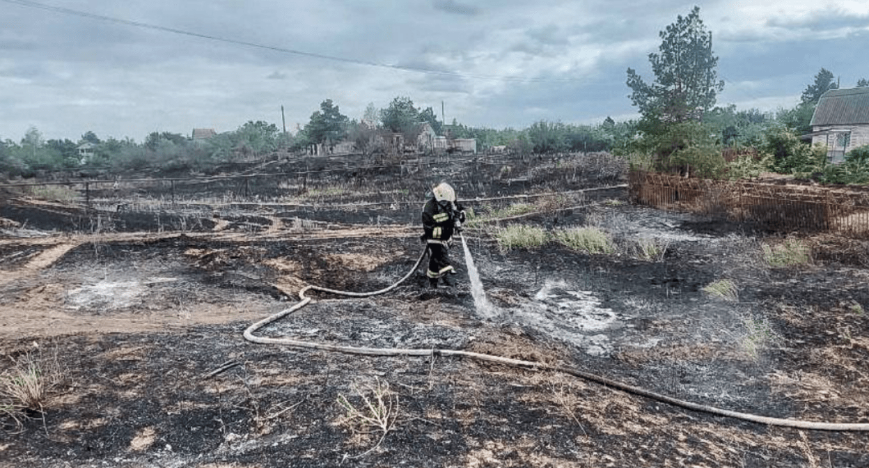 Огонь на острове Сарпинский подступил вплотную к домам. Скриншот фото МЧС Волгоградской области от 05.06.25, https://t.me/mchs_volgograd/4383