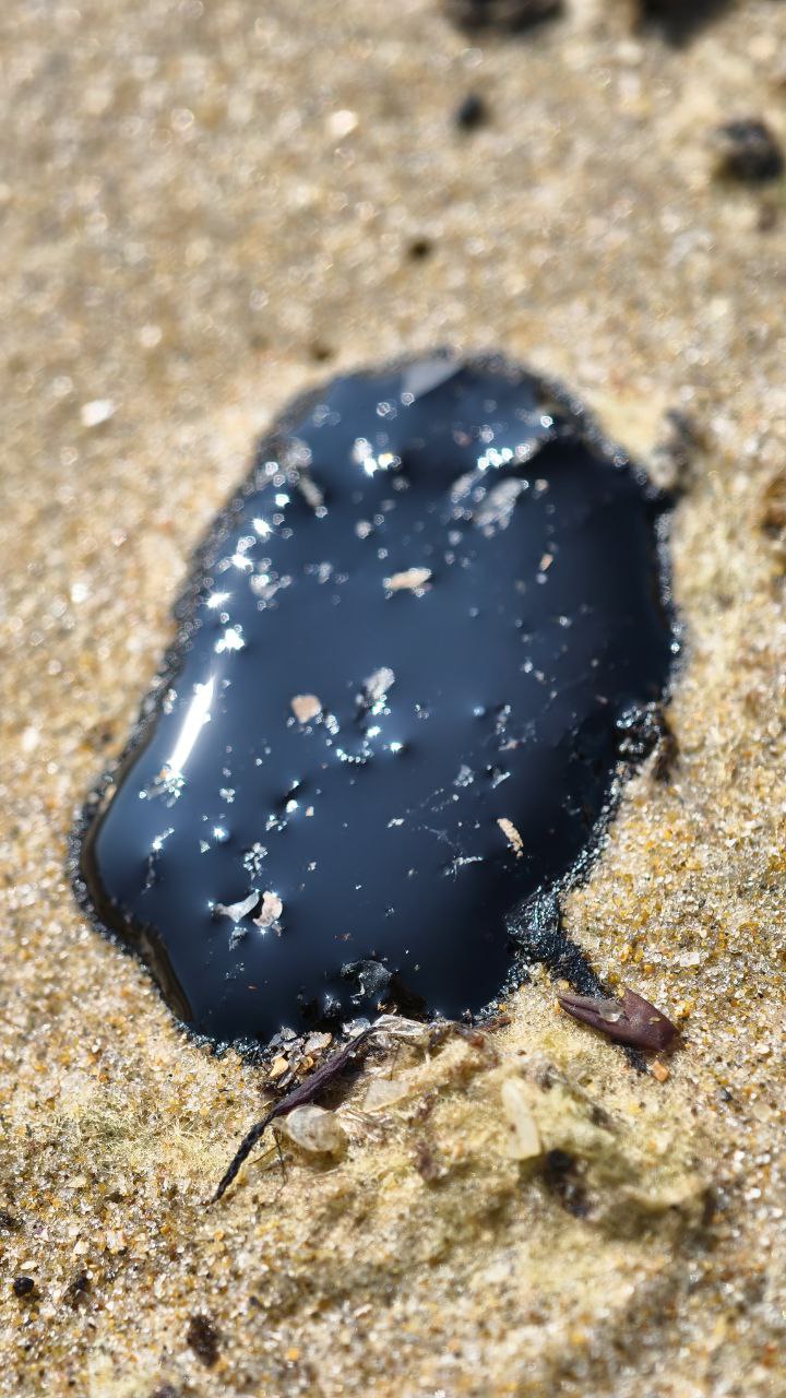 Жидкий мазут на песке на пляже Анапы 17 июня 2025 года. Скриншот публикации в телеграм-канале "Маковозовы" https://t.me/makovozovy/38686