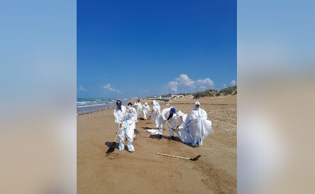 Работы по очистке береговой линии в поселке Джемете. Фото из телеграм-канала оперштаба Кубани.