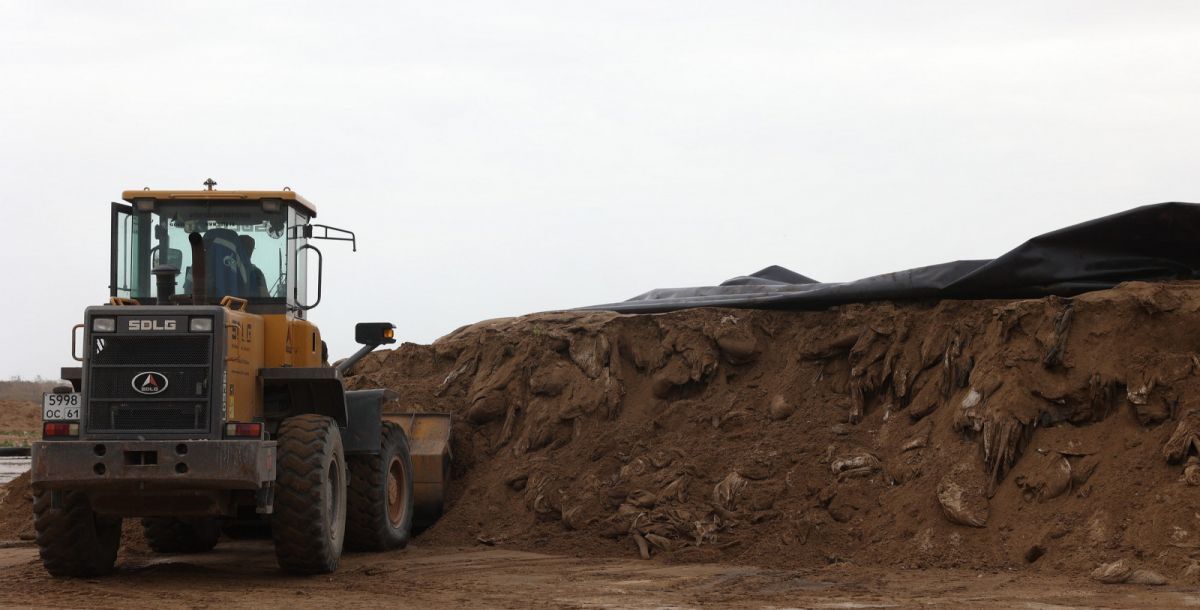 Полигон в Семикаракорском районе. Фото: https://www.donland.ru/