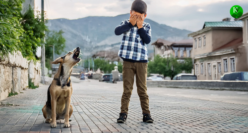 Собака лает на ребенка. Иллюстрация создана «Кавказским узлом» с помощью ИИ в программе Copilot