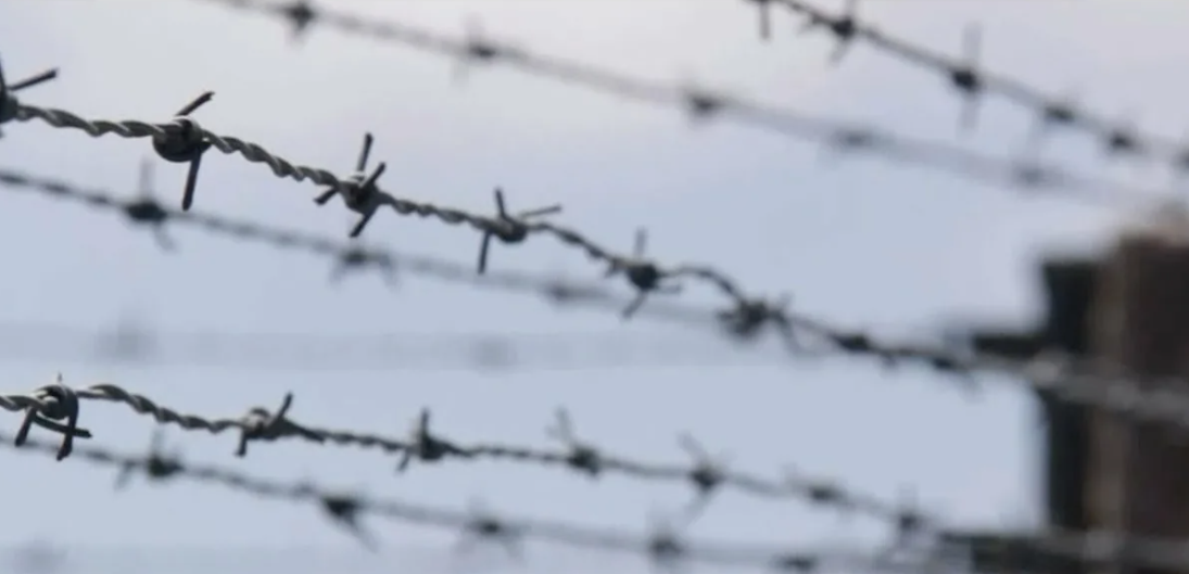 Колючая проволока. Стоп-кадр видео https://www.youtube.com/watch?app=desktop&v=P4xkRWG7KUA
