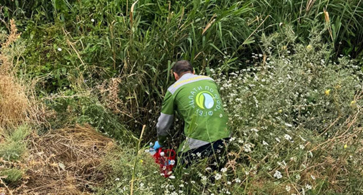 Специалисты отбирают пробы для лабораторных исследований. 15 июля 2025 г. Фото: https://t.me/mprdag2020/5295