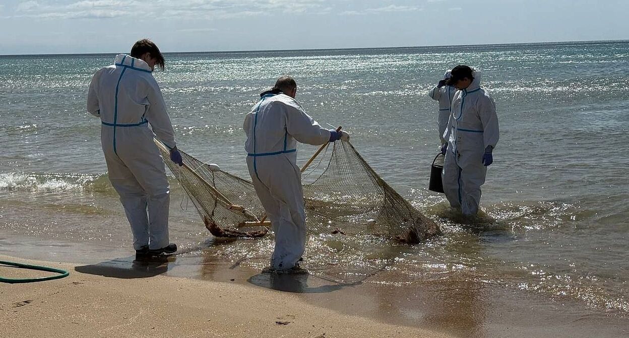 Демонтаж сетей на побережье Анапы. Фото: tvkrasnodar.ru
