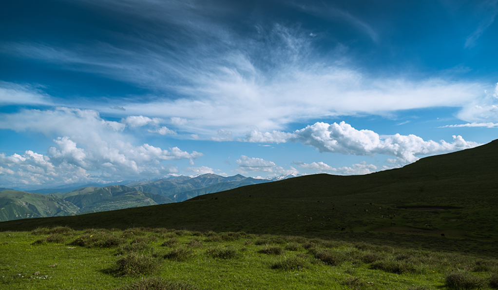 Территория вокруг санатория. Скриншот фото с сайта санатория "Гуниб" https://www.rdsgunib.ru/gallery/album/1 Территория вокруг санатория. Скриншот фото с сайта санатория "Гуниб" https://www.rdsgunib.ru/gallery/album/1