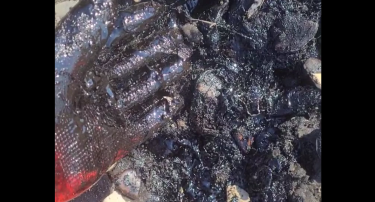 Мазут на Белой горе под слоем камней. Стоп-кадр видео штаба "Дельфины" от 01.08.25, https://t.me/razlivnasvyazi/233675/303003.