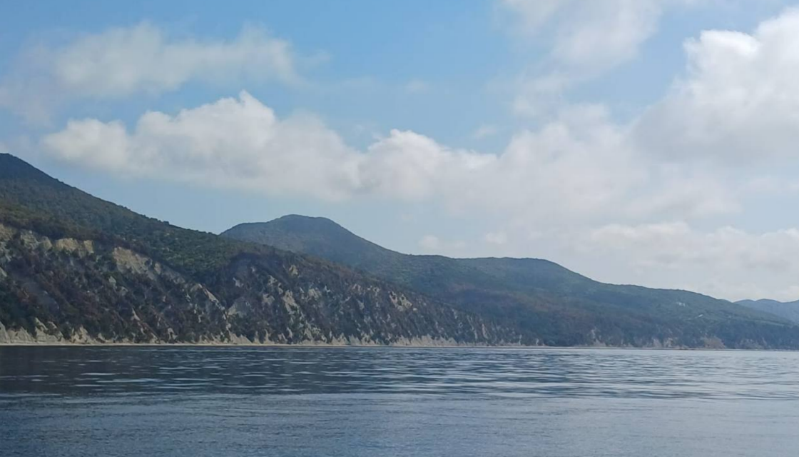 Вид на Пщадское лесничество после тушения пожара. Скриншот фото из Telegram-канала администрации Геленджика от 31.08.25, https://t.me/adm_gelen/22837. Вид на Пщадское лесничество после тушения пожара. Скриншот фото из Telegram-канала администрации Геленджика от 31.08.25, https://t.me/adm_gelen/22837.