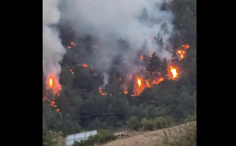 Лесной пожар в Тляратинском районе. Стоп-кадр видео из Telegram-канала Магомеда Бисавалиева от 30.08.25, https://t.me/bisavaliev1/7755 Лесной пожар в Тляратинском районе. Стоп-кадр видео из Telegram-канала Магомеда Бисавалиева от 30.08.25, https://t.me/bisavaliev1/7755