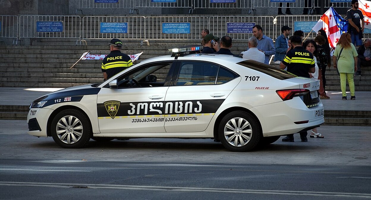 Полицейская машина у здания парламента Грузии. Фото:  Upwinxp / Wikimedia