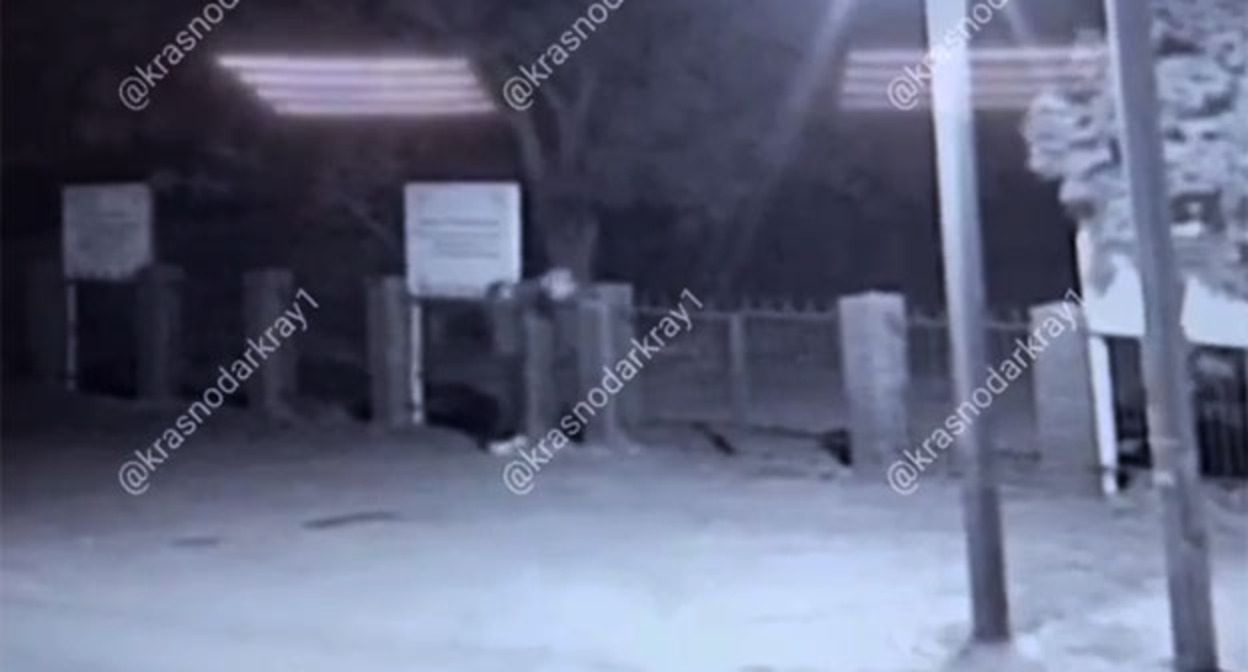 Неизвестный одевает свиную голову на забор у мечети в Адыгее. 14 сентября 2025 г. Скриншот видео https://t.me/krasnodarkray1/62397