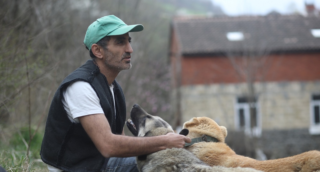 Эльхан Мирзоев. Фото: https://www.meydan.tv/ru/article/kak-zhivetsya-brodyachim-sobakam-v-azerbajdzhane/