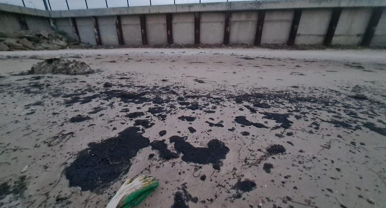 Пятна мазута. Фото: штаб "Дельфин" https://t.me/shtab_delfin/1269