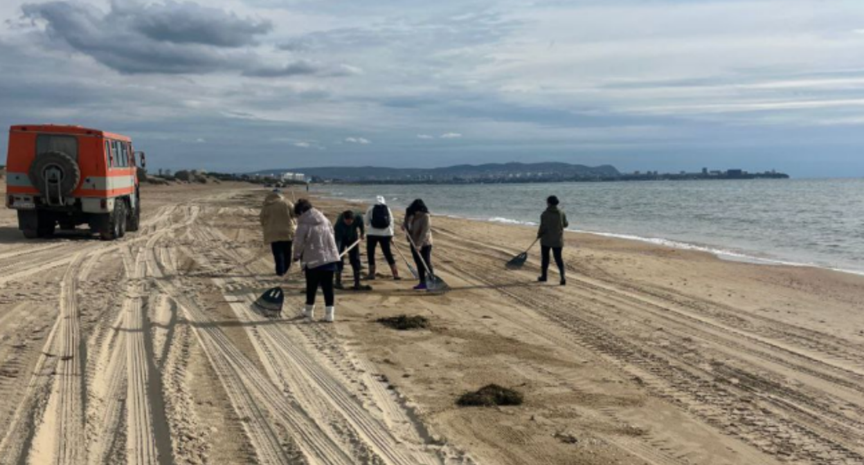 Уборка берега от мазута в Анапе. Скриншот фото оперштаба Краснодарского края от 16.10.25, https://t.me/opershtab23/14279