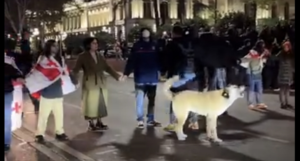 Протестующие на проезжей части проспекта Руставели, 3 ноября 2025 года. Кадр видео Publika