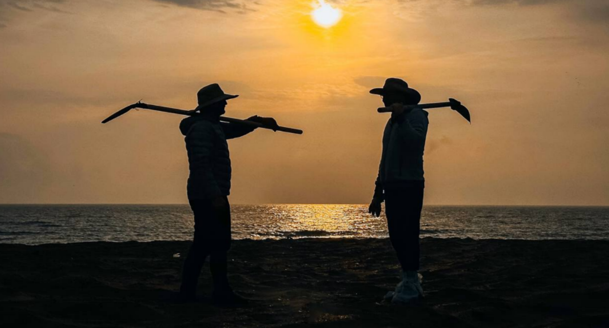 Волонтеры на берегу моря. Скриншот фото штаба "Сети, сито, лопата" от 26.11.25, https://t.me/setisitolopata/2017