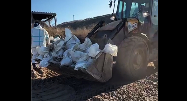 Дорожная техника убирает мешки с мазутом. 14 января 2026 г. Скриншот видео https://t.me/shtab_delfin/1771