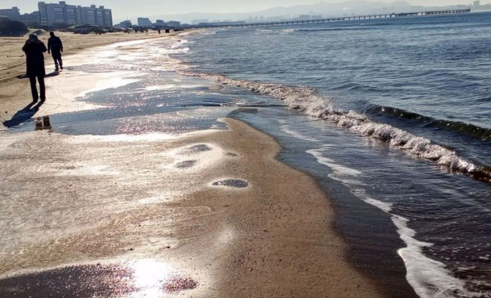 Пляж в Анапе. Скриншот фото оперштаба Кубани от 06.02.26, https://t.me/opershtab23/14949?single