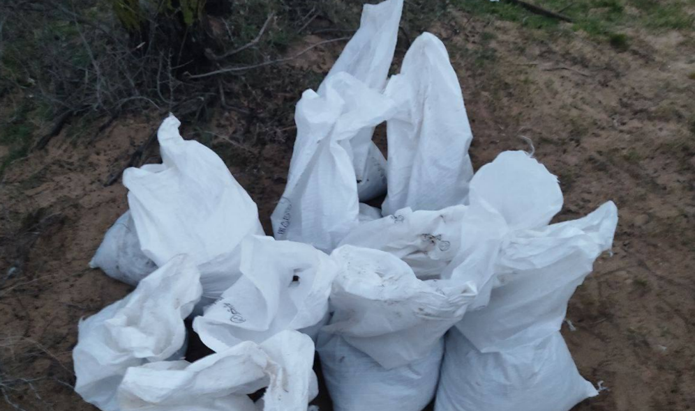 Собранные мешки с мазутом. Скриншот фото штаба "Сети, сито, лопата" от 07.02.26,https://t.me/setisitolopata/2512