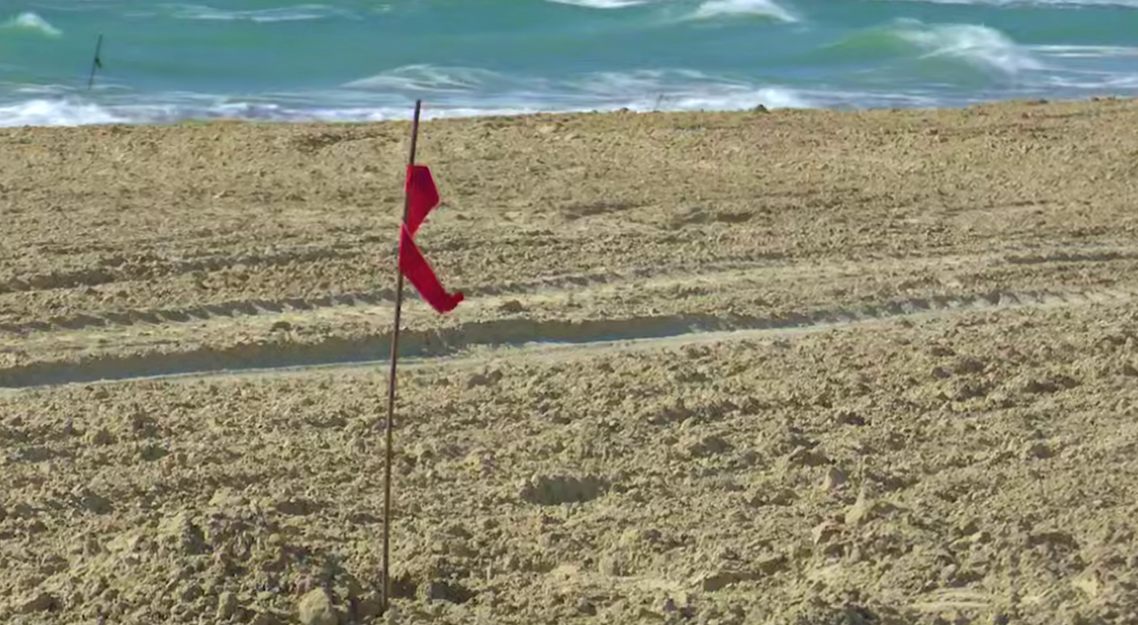 Новый песок на пляже "Мираклеон". Стоп-кадр видео оперштаба Краснодарского края  от 11.03.25, https://t.me/opershtab23/15355